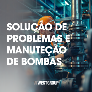 SOLUÇÃO DE PROBLEMAS E MANUTENÇÃO DE BOMBAS (PUMP MAINTENANCE AND TROUBLESHOOTING)