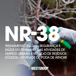 NR-38 - TREINAMENTO INICIAL - SEGURANÇA E SAÚDE DO TRABALHO NAS ATIVIDADES DE LIMPEZA URBANA E MANEJO DE RESÍDUOS SÓLIDOS - ATIVIDADE DE PODA DE ÁRVORE - 08H (SEMIPRESENCIAL)