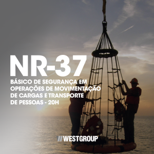 NR-37 - BÁSICO DE SEGURANÇA EM OPERAÇÕES DE MOVIMENTAÇÃO DE CARGAS E TRANSPORTE DE PESSOAS - 20H